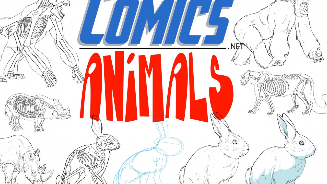 آموزش طراحی حیوانات